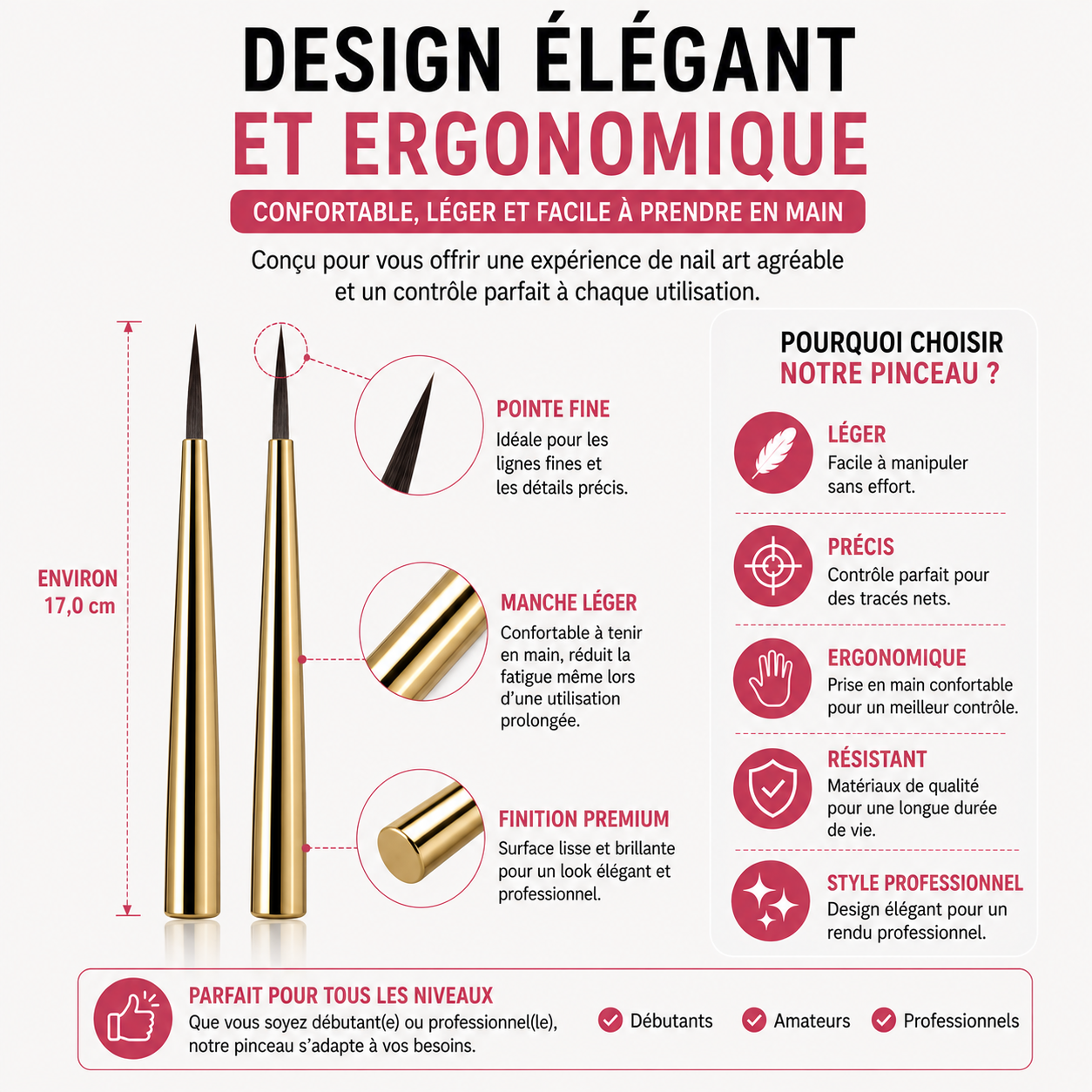 Pinceau Nail Art Professionnel de Précision